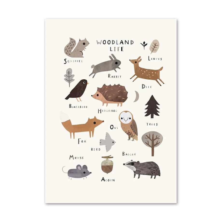 Affiches apprentissage anglais - Mon alpaga
