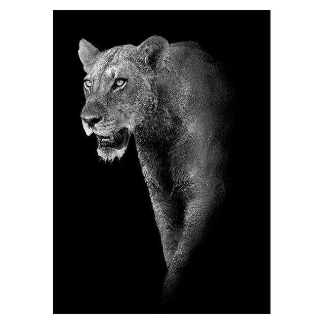 Affiche animaux noir et blanc - Mon alpaga