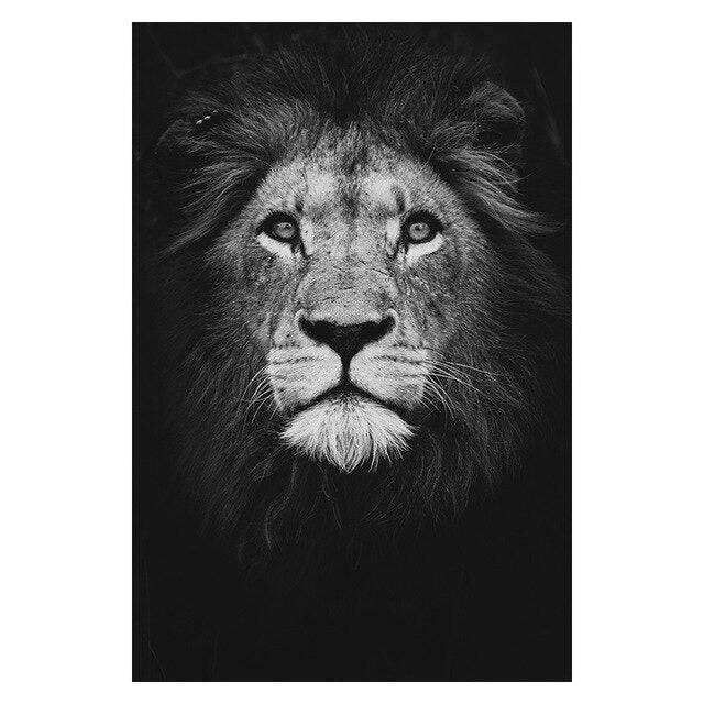 Affiche animaux noir et blanc - Mon alpaga