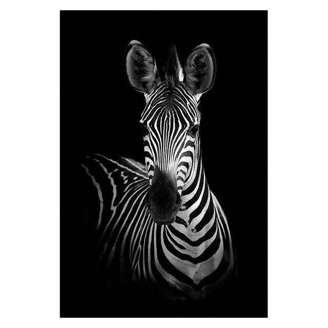 Affiche animaux noir et blanc - Mon alpaga