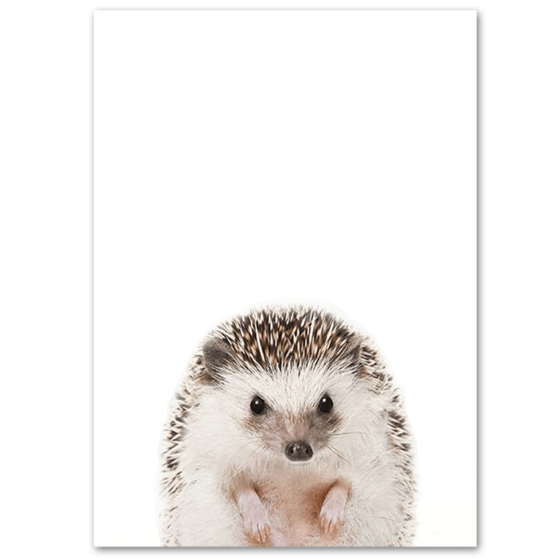 Affiche bébés animaux - Mon alpaga