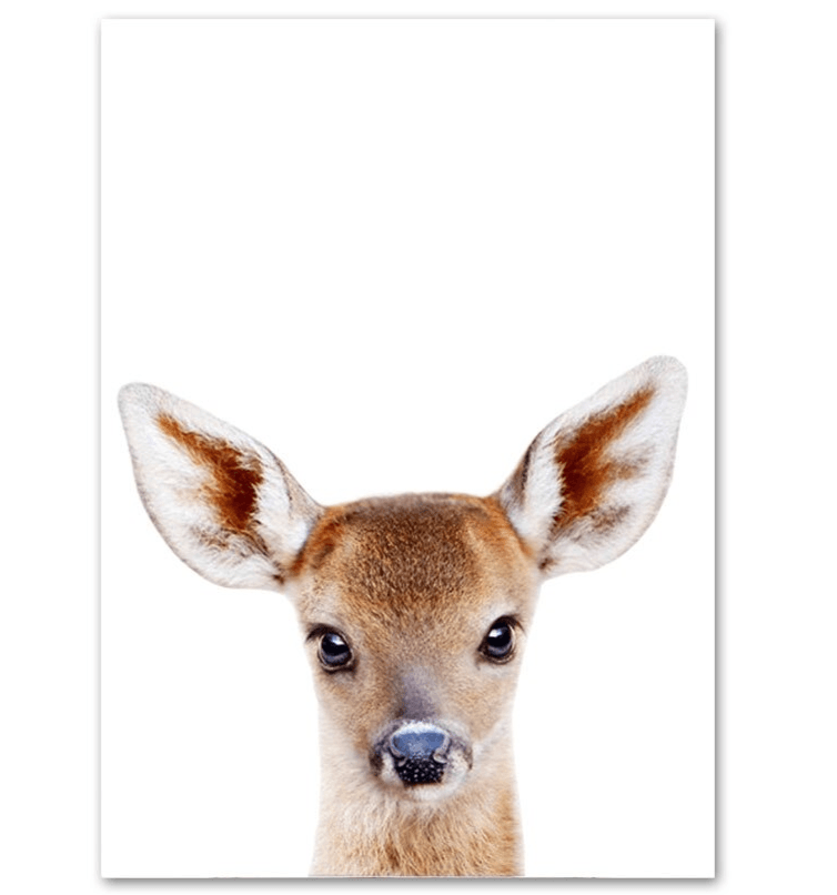 Affiche bébés animaux - Mon alpaga