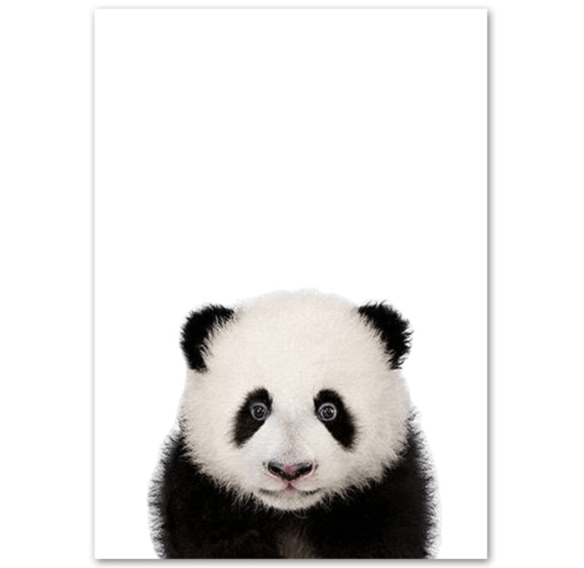 Affiche bébés animaux - Mon alpaga