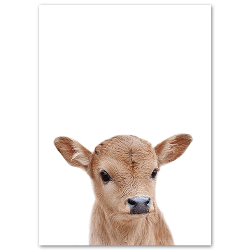 Affiche bébés animaux - Mon alpaga