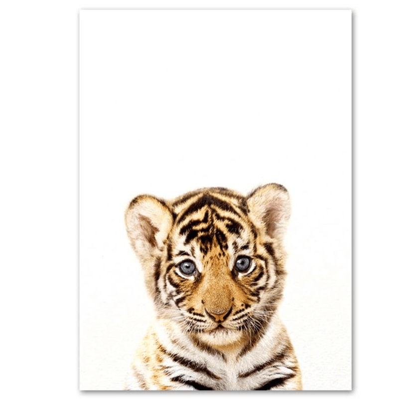 Affiche bébés animaux - Mon alpaga