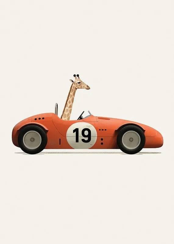 Affiches animaux course automobile - Mon alpaga