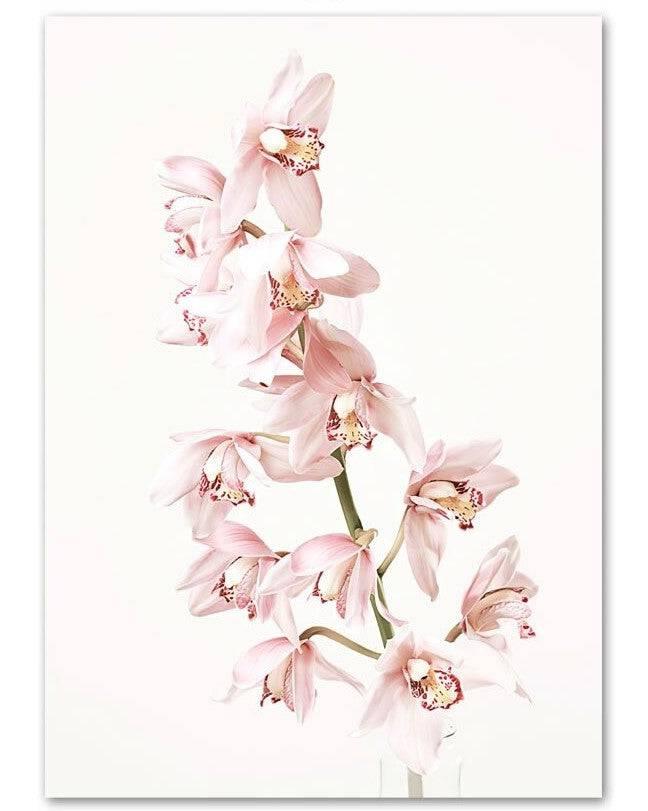 Affiches "la vie en rose" - Mon alpaga