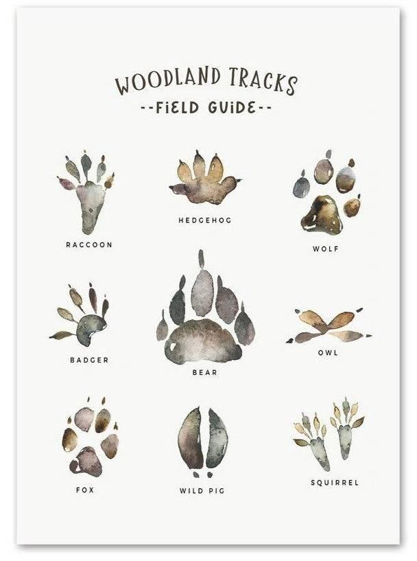 Affiches "Sur les traces des animaux de la forêt" - Mon alpaga