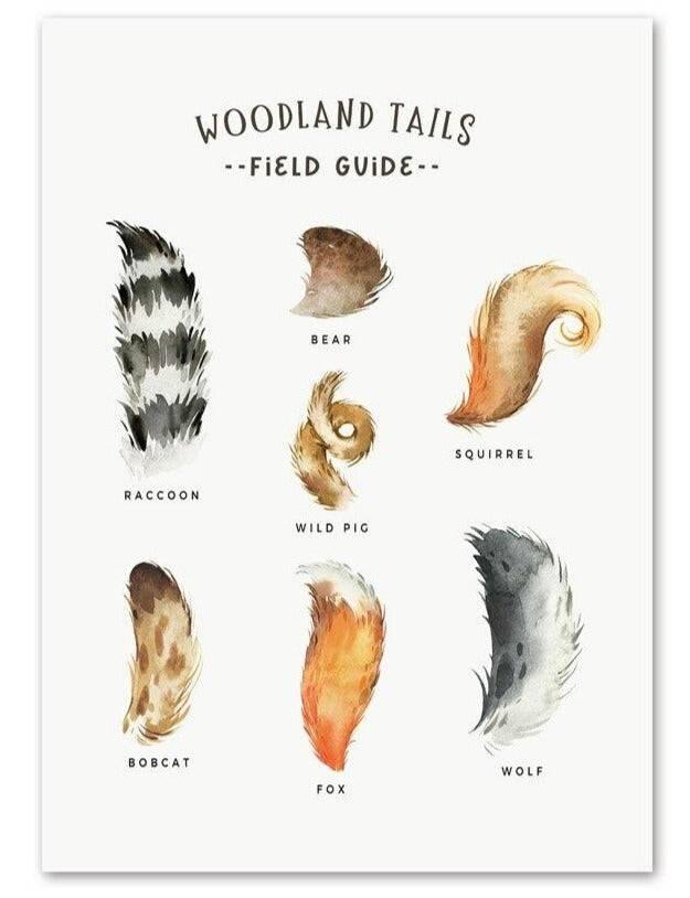 Affiches "Sur les traces des animaux de la forêt" - Mon alpaga