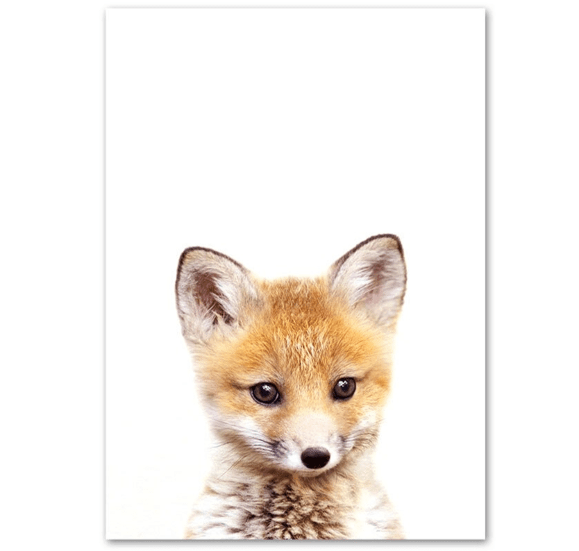 Affiche bébés animaux - Mon alpaga