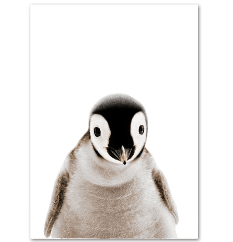 Affiche bébés animaux - Mon alpaga