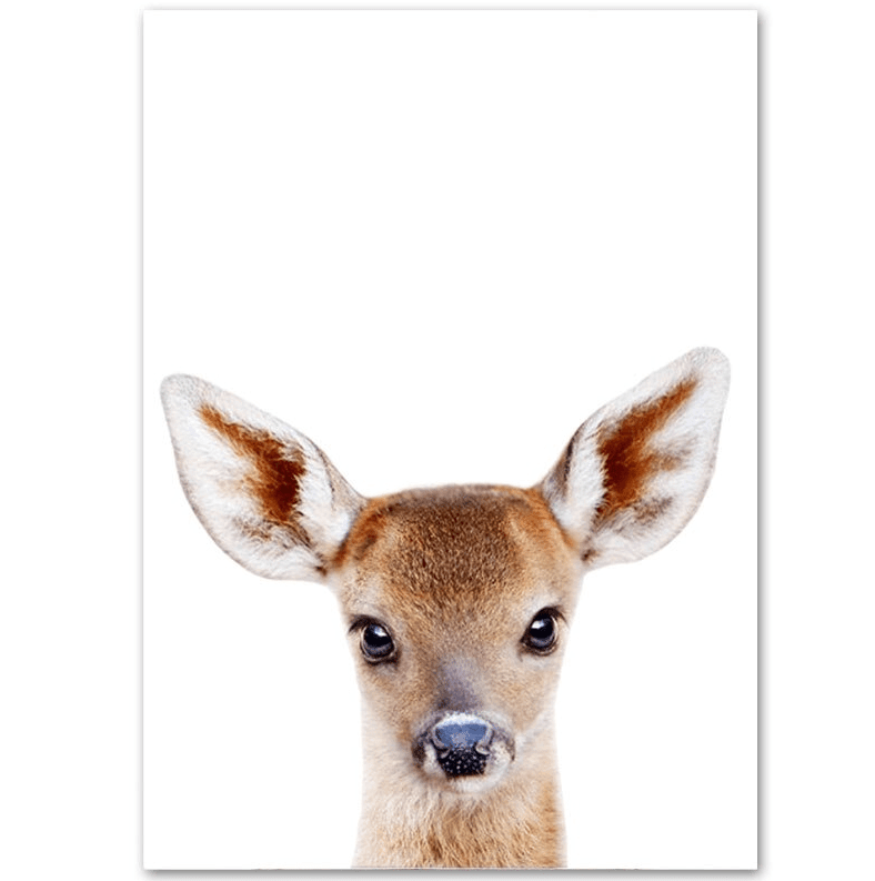 Affiche bébés animaux de la forêt - Mon alpaga