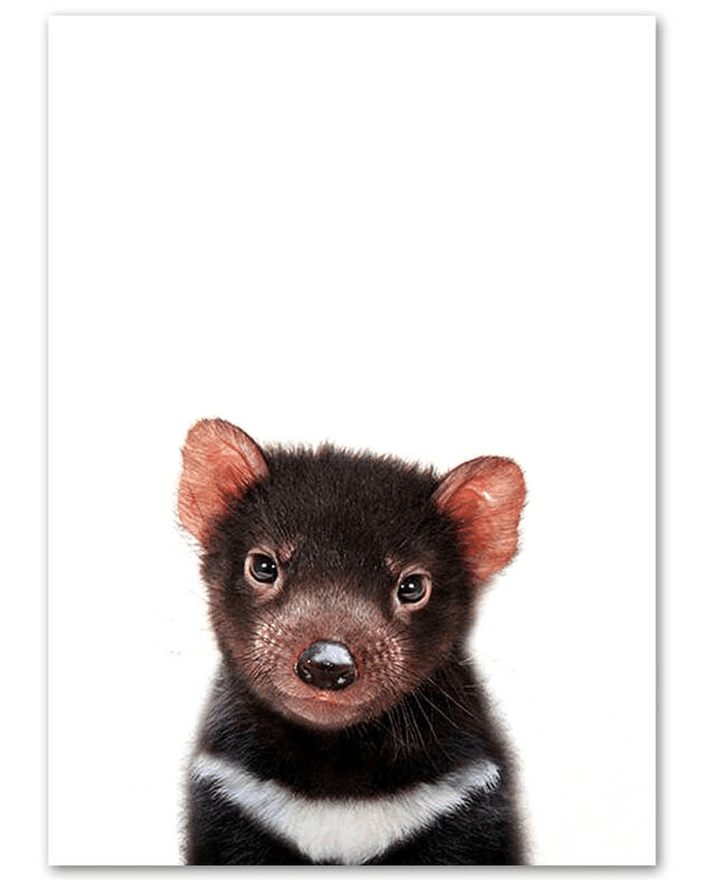 Affiche bébés animaux de la forêt - Mon alpaga