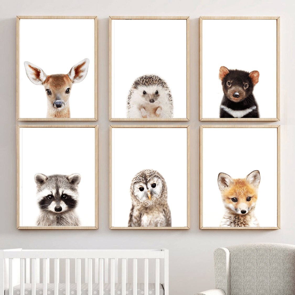 Affiche bébés animaux de la forêt - Mon alpaga