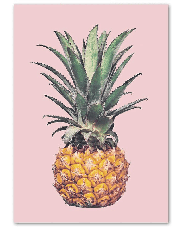 Affiches évasion - Mon alpaga