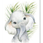 Affiche animaux "jungle" - Mon alpaga