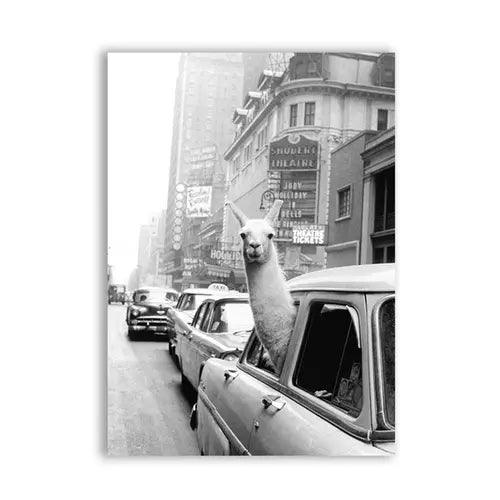 Affiche lama NYC - Mon alpaga