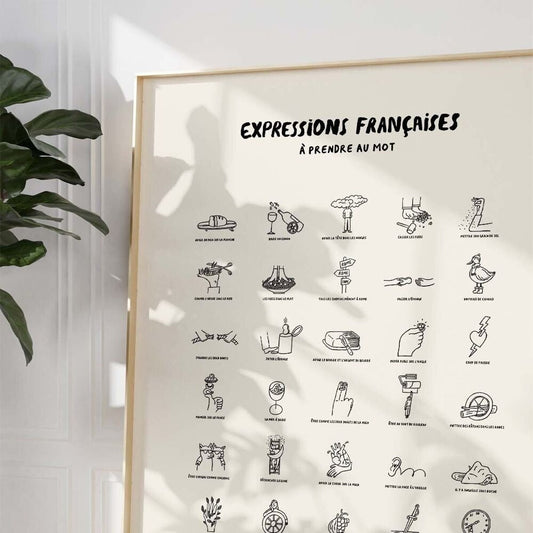 AFFICHE EXPRESSIONS FRANCAISES