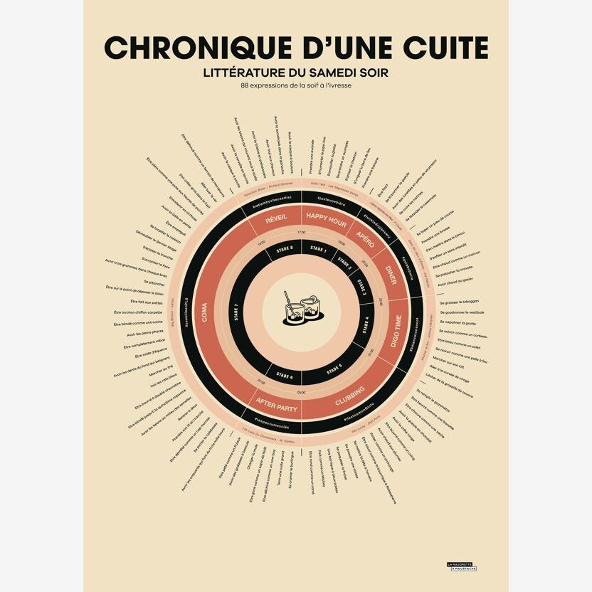 Affiche Chronique d'une cuite