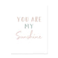 Affiche "you're my sunshine" - Mon alpaga