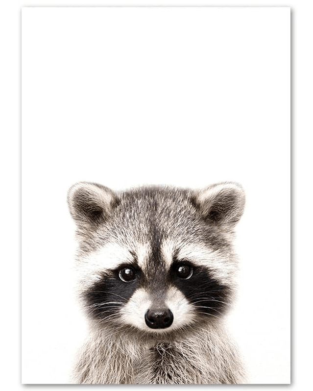 Affiche bébés animaux de la forêt - Mon alpaga