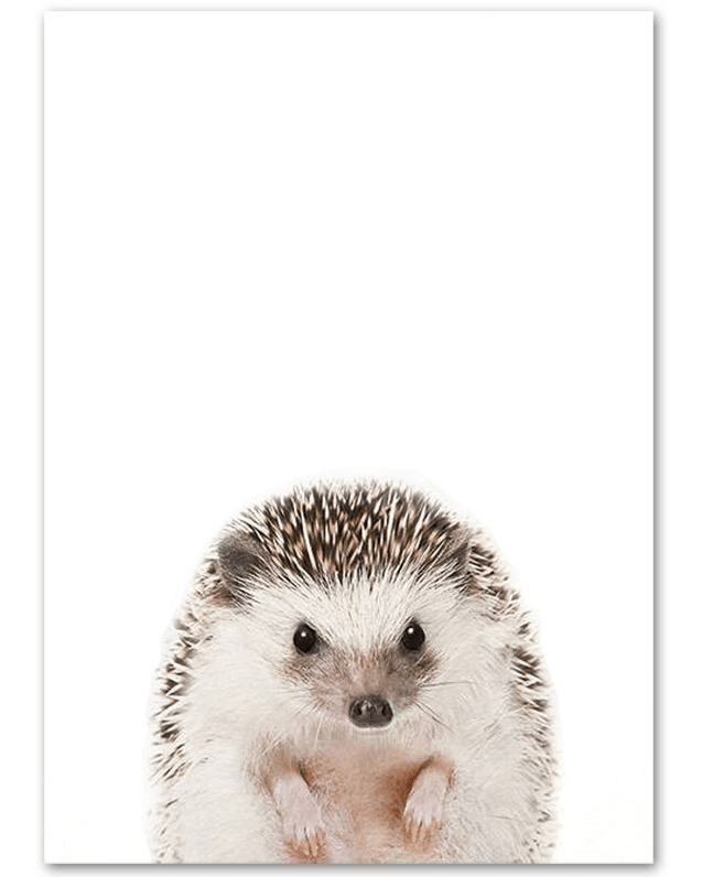 Affiche bébés animaux de la forêt - Mon alpaga
