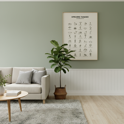 Affiche Expressions françaises