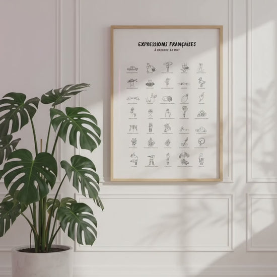 affiche humoristique français