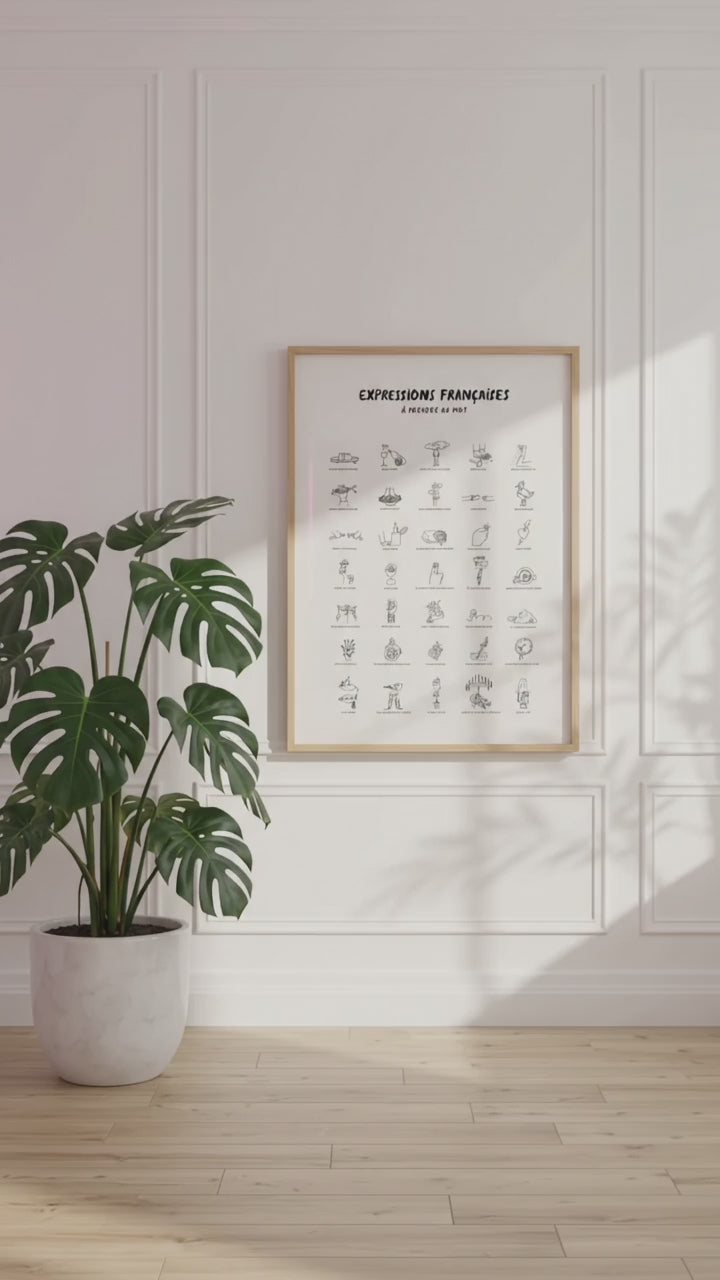 affiche humoristique français