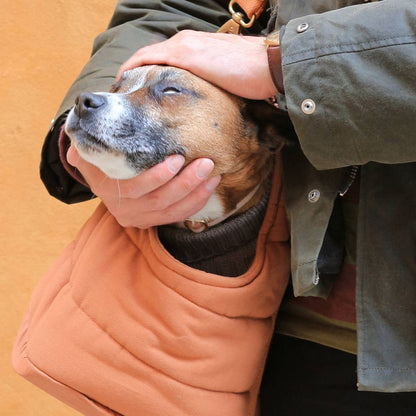 sac pour transporter son chien en toute sécurité de couleur camel