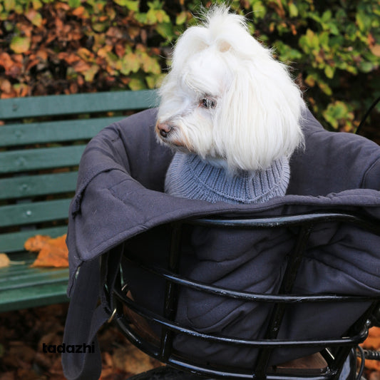 sac de transport pour chien très pratique et confortable