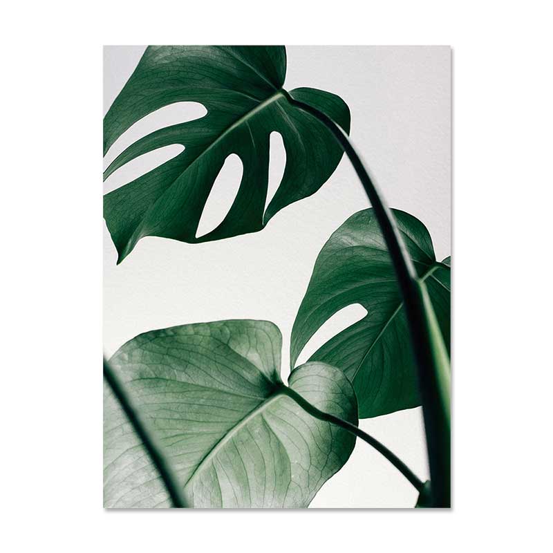 Affiches feuilles et plantes - Mon alpaga