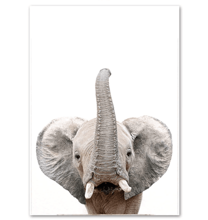 Affiche bébés animaux - Mon alpaga