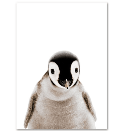 Affiche bébés animaux - Mon alpaga