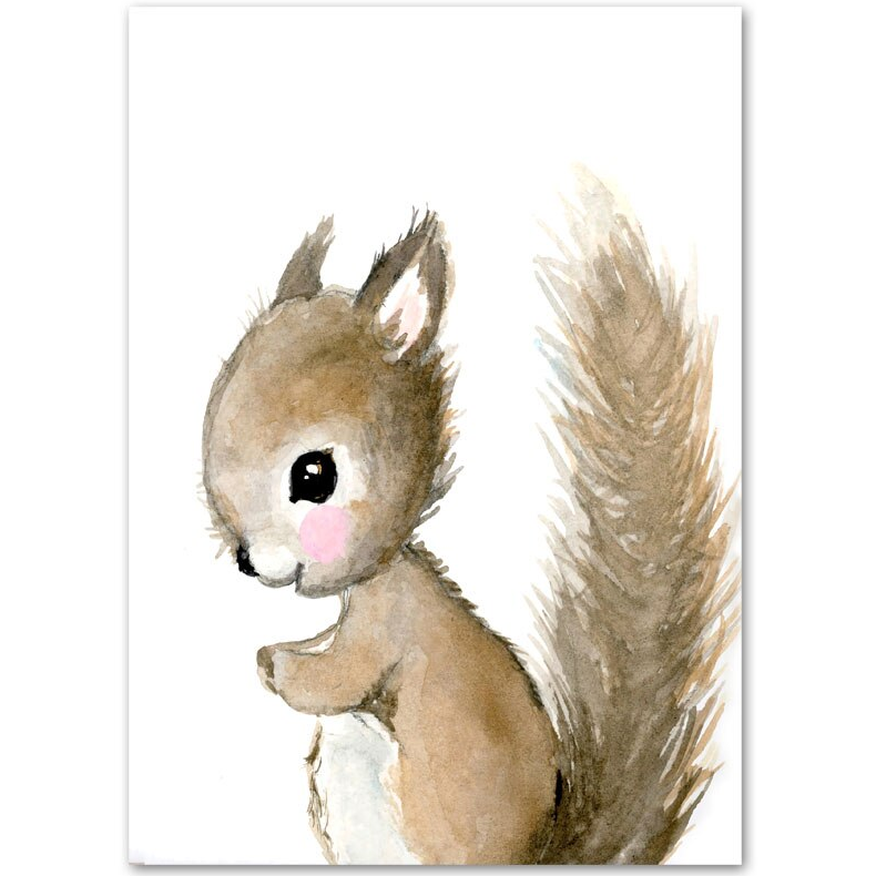 Affiche animaux de la forêt écureuil