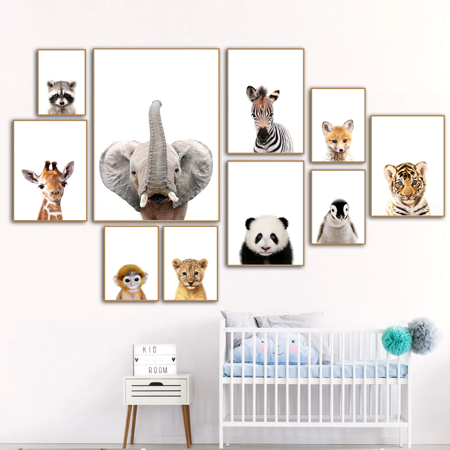 Affiche bébés animaux - Mon alpaga