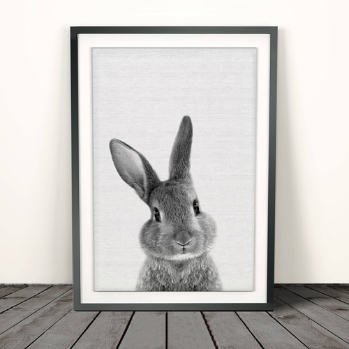 Affiche lapin en noir et blanc - Mon alpaga